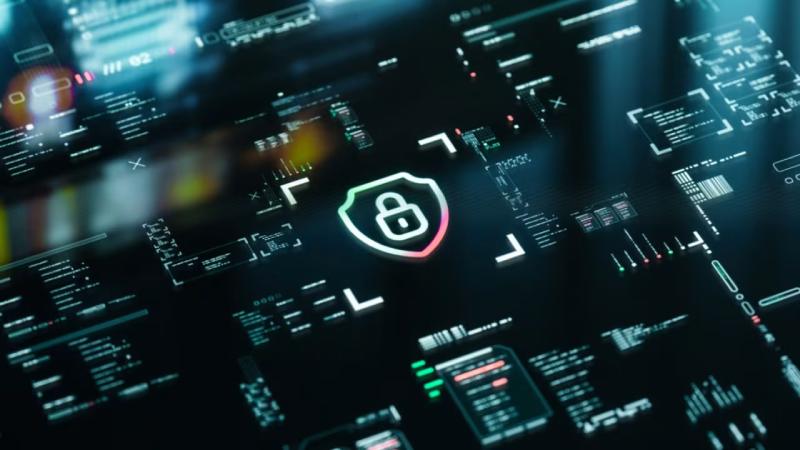 桐柏县软件开发公司